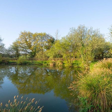 Our Goldfinch 1- Sleeps 2 Persons- Private Hot Tub-Pet Friendly-Tranquil Holiday Away From It All Yet Not Far From St Austell- The Holiday Home Has One Bedroom, Living And Dining Area, Equipped Kitchen-Decking-Outdoor Furniture-Fishing Lakes And More Grampound Exteriér fotografie