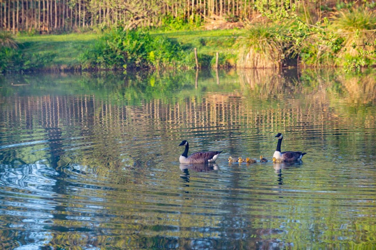 Our Goldfinch 1- Sleeps 2 Persons- Private Hot Tub-Pet Friendly-Tranquil Holiday Away From It All Yet Not Far From St Austell- The Holiday Home Has One Bedroom, Living And Dining Area, Equipped Kitchen-Decking-Outdoor Furniture-Fishing Lakes And More Grampound Exteriér fotografie