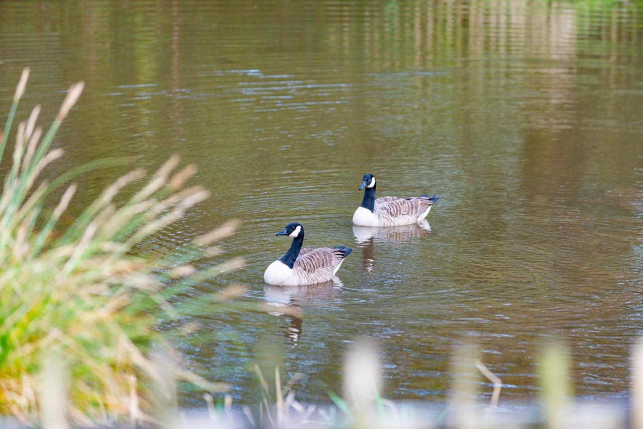Our Goldfinch 1- Sleeps 2 Persons- Private Hot Tub-Pet Friendly-Tranquil Holiday Away From It All Yet Not Far From St Austell- The Holiday Home Has One Bedroom, Living And Dining Area, Equipped Kitchen-Decking-Outdoor Furniture-Fishing Lakes And More Grampound Exteriér fotografie
